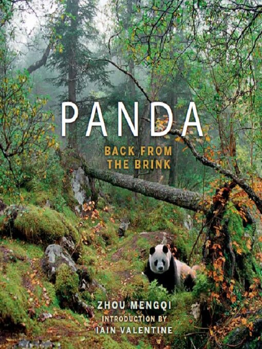 Title details for Panda by Zhou Mengqi - Available